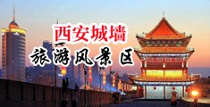 黑人操逼强奸视频中国陕西-西安城墙旅游风景区